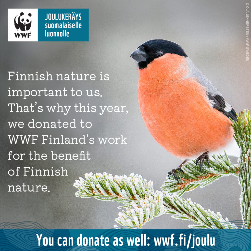 Brunberg - Brunbergs's christmas donation to WWF