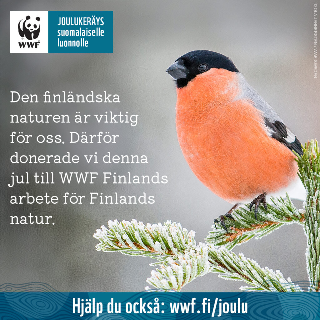 Brunberg - Brunbergs juldonation till WWF